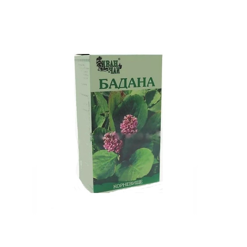 Buy Badana rhizome 50g