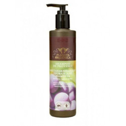 Buy Planeta organica (planet organics) Provencal shampoo rest. 280ml for all hair types
