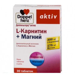 Buy Doppelgerts asset magnesium + l-carnitine tablets number 30