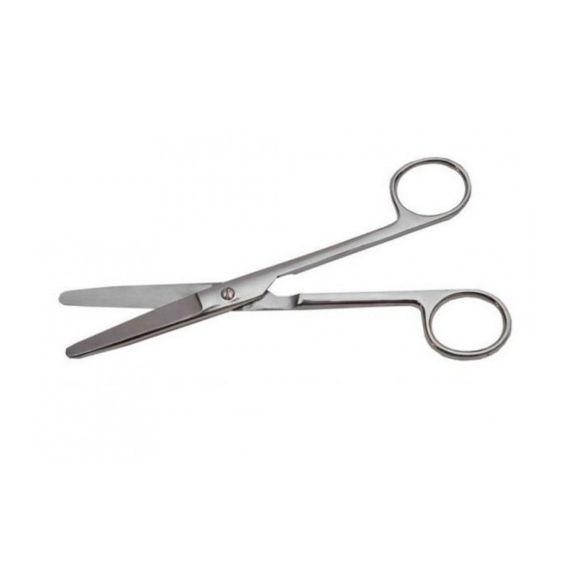 Buy Blunt scissors straight 170mm