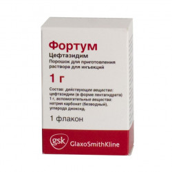 Buy Fortum powder for injection 1000mg bottle number 1