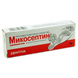 Buy Mikoseptin ointment 30g