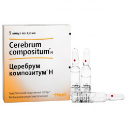 Buy Cerebrum compositum n ampoules 2.2ml No. 5
