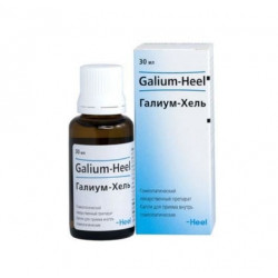 Buy Galium Hel drops 30ml