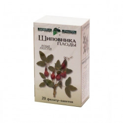 Buy Rosehip fruit filter packs 1.5g №20