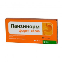 Buy Panzinorm Forte 20000 coated tablets No. 10