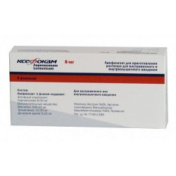 Buy Ksefokam powder for injection vial 8mg №5