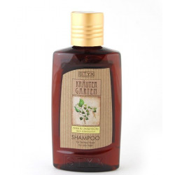 Buy Styx (Stix) shampoo "birch-linden" for oily hair 200ml