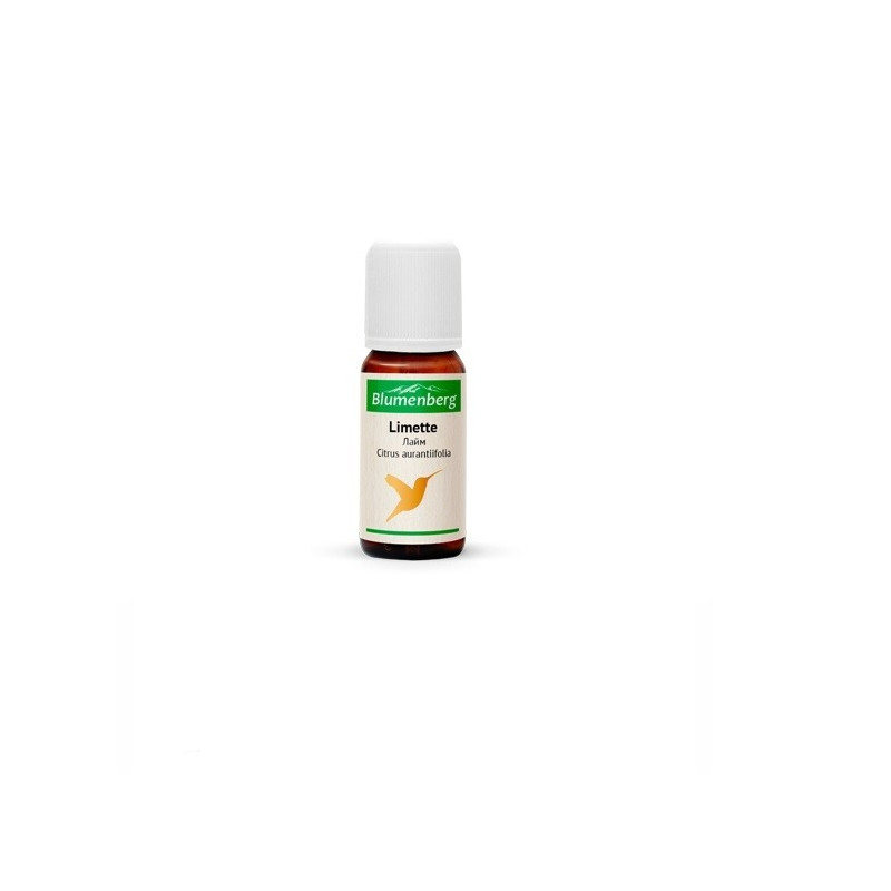 Buy Essential oil Blumenberg 10ml lime