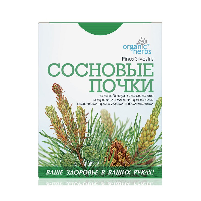 Buy Pine buds 50g